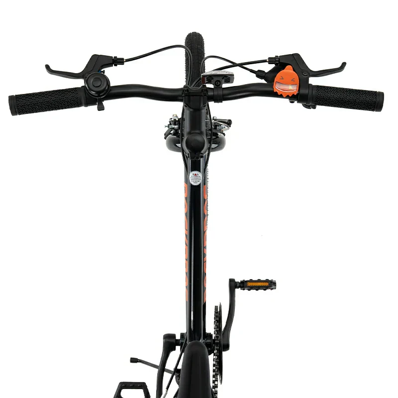 Miniatura 26